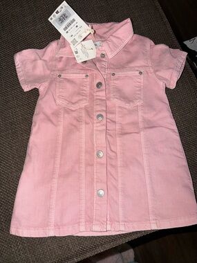 Toddler girl Zara Pink Button-Front Denim Dress